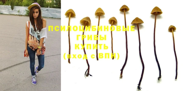 МДМА Бородино